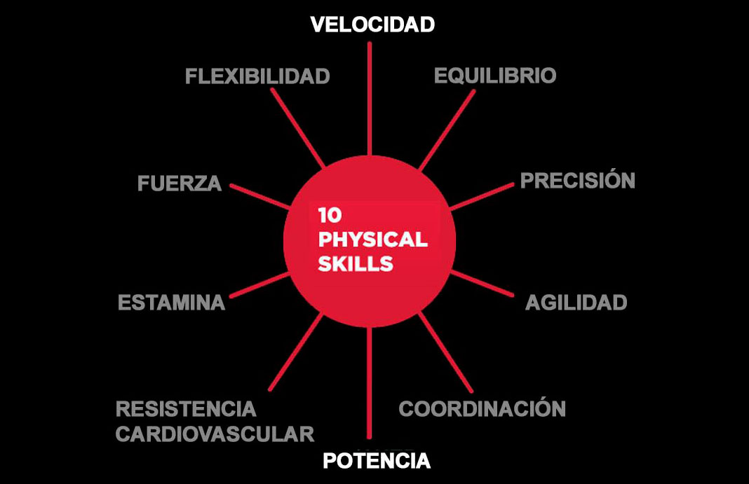 Cómo conseguir el movimiento completo y libre a través del entrenamiento